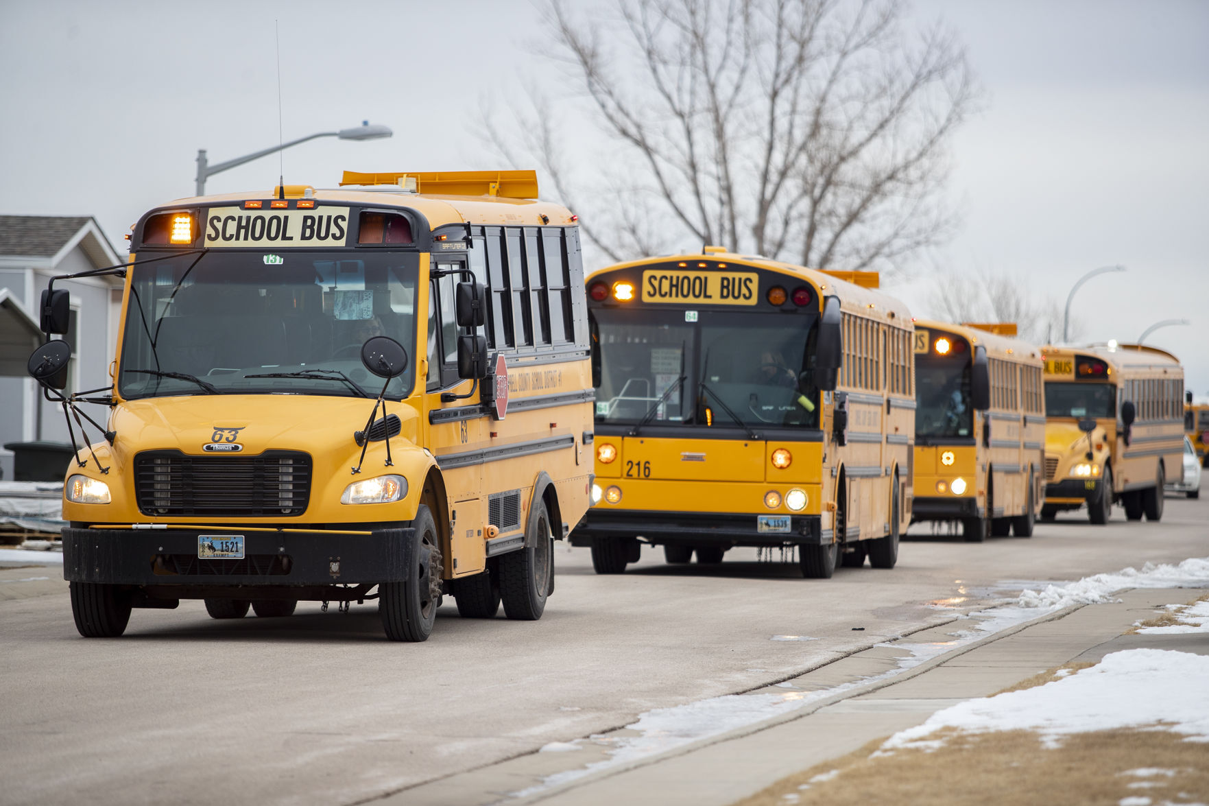 Bus parade